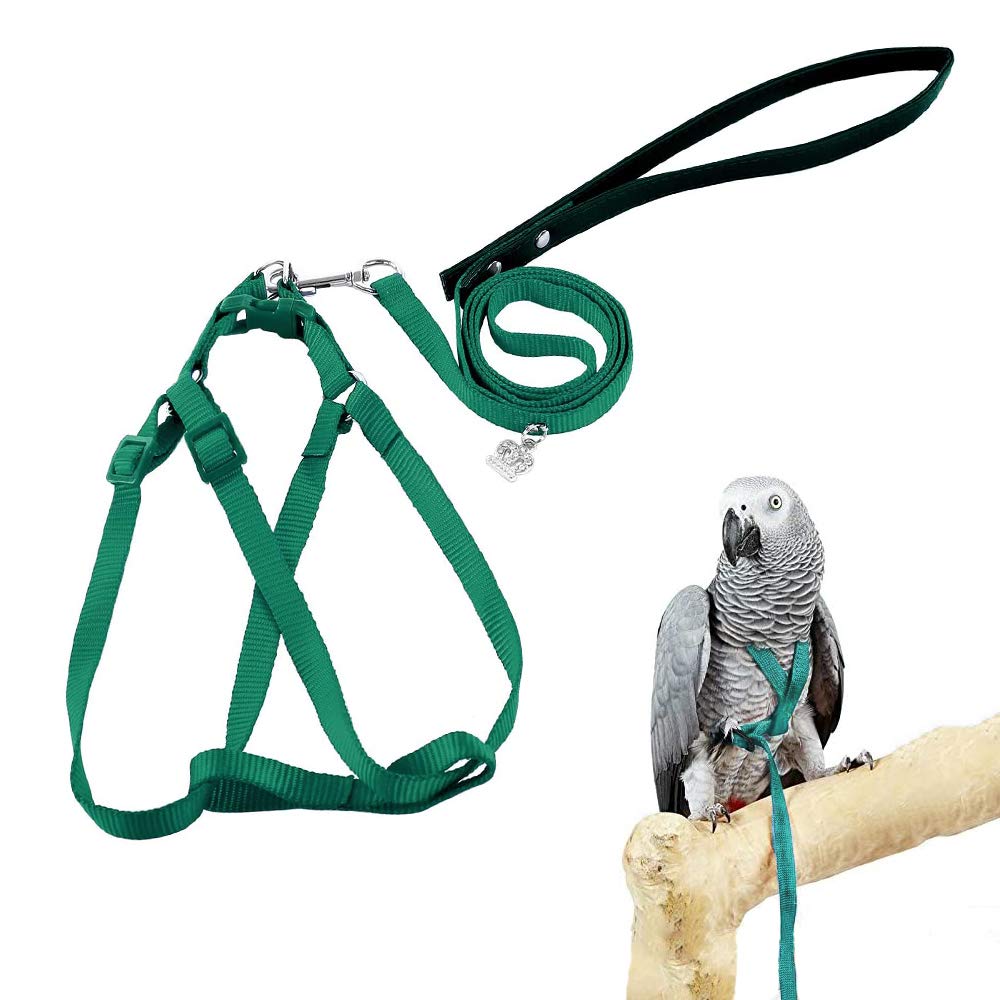ASOCEA harnais oiseau ajustable prêt pour une sortie sécurisée et confortable.