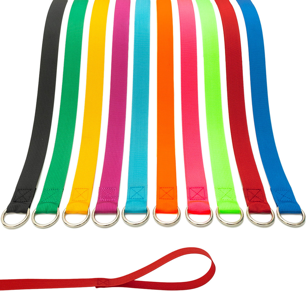 Laiche slip ATICNECH pour chien, 6 pieds, ensemble coloré et pratique.