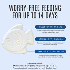 Atlantic Rush Vacation Feeder avec option 7 jours pour nourrir vos poissons.
