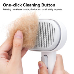Brosse Aumuca offre un massage peau douce pour chats sensibles.