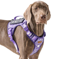 Harnais AUNZO tactique grand chien violet offre stabilité et confort