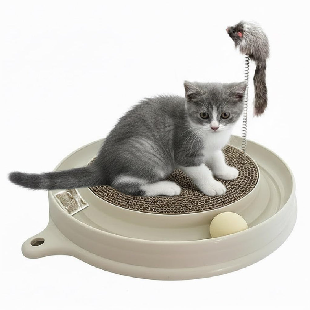 AUOON chat-grattoir-3-en-1, le griffoir polyvalent pour chats actifs.