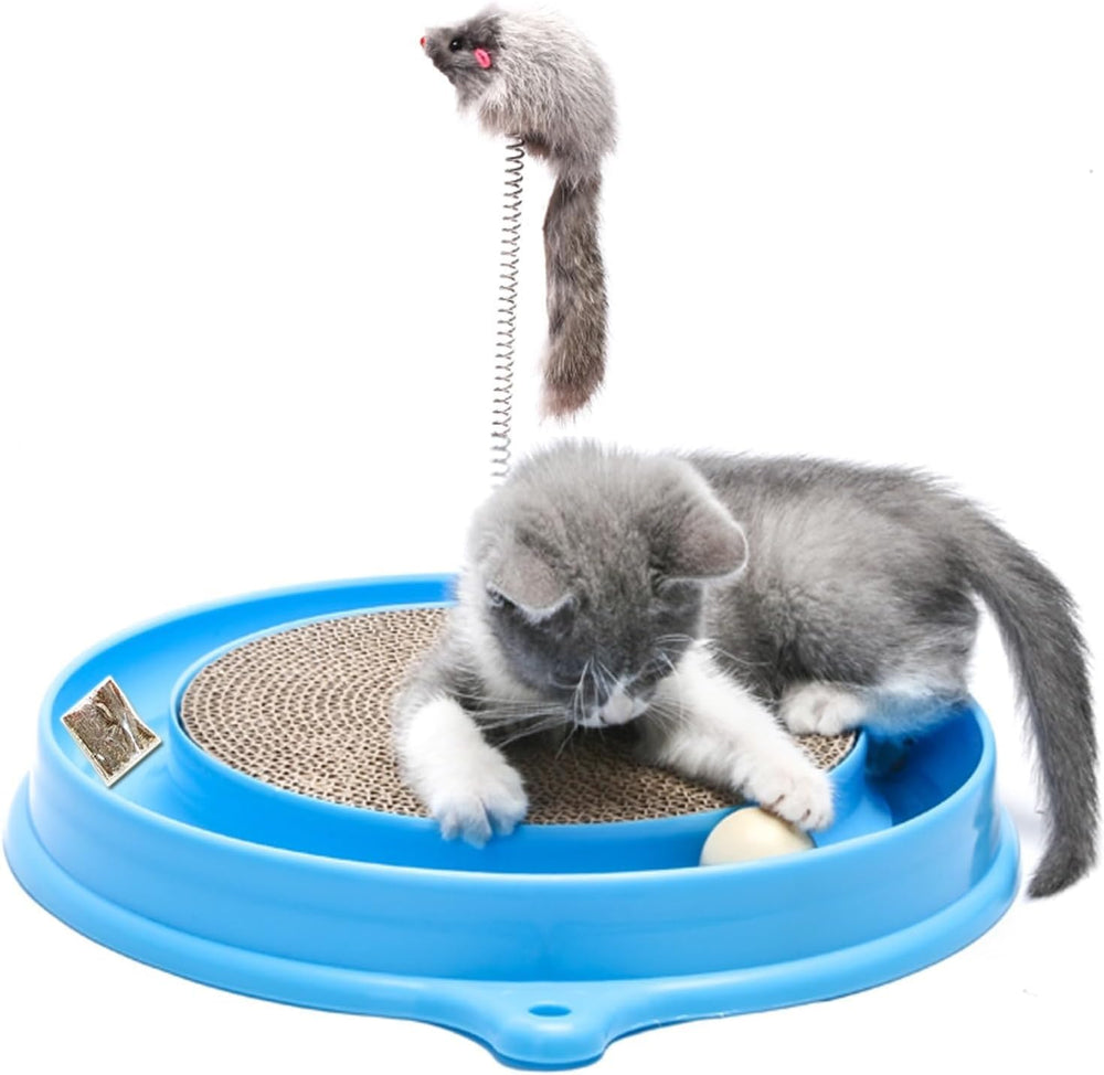AUOON jouet griffoir chat piste-balle bleu stimule l'activité