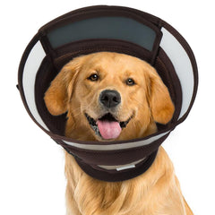AuraPaw Cône Chien Soft — confort doux pour récupération après chirurgie.