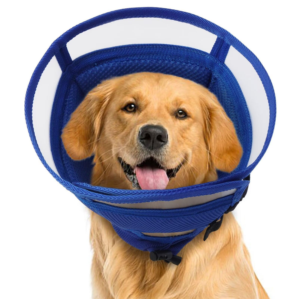 AuraPaw cône doux pour chien pliant, confort et facilité d'utilisation.