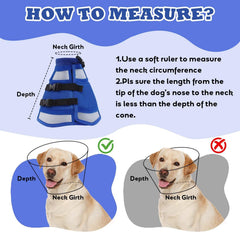 AuraPaw cone protection pour plaies, convient après chirurgie et soins.