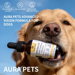 Aura Pets application quotidienne facile, intégrée à la routine du chien.
