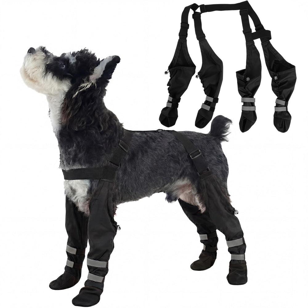 AuraPaw-bottes-etanchees-suspendues-reflechissantes protègent les pattes lors des promenades