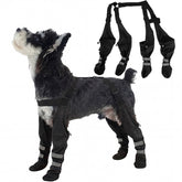 AuraPaw-bottes-etanchees-suspendues-reflechissantes protègent les pattes lors des promenades