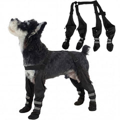 AuraPaw-bottes-etanchees-suspendues-reflechissantes protègent les pattes lors des promenades