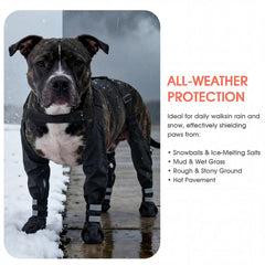 AuraPaw-bottes-hivernales-impermeables-confort-durable permettent de garder les pattes seches lors des promenades