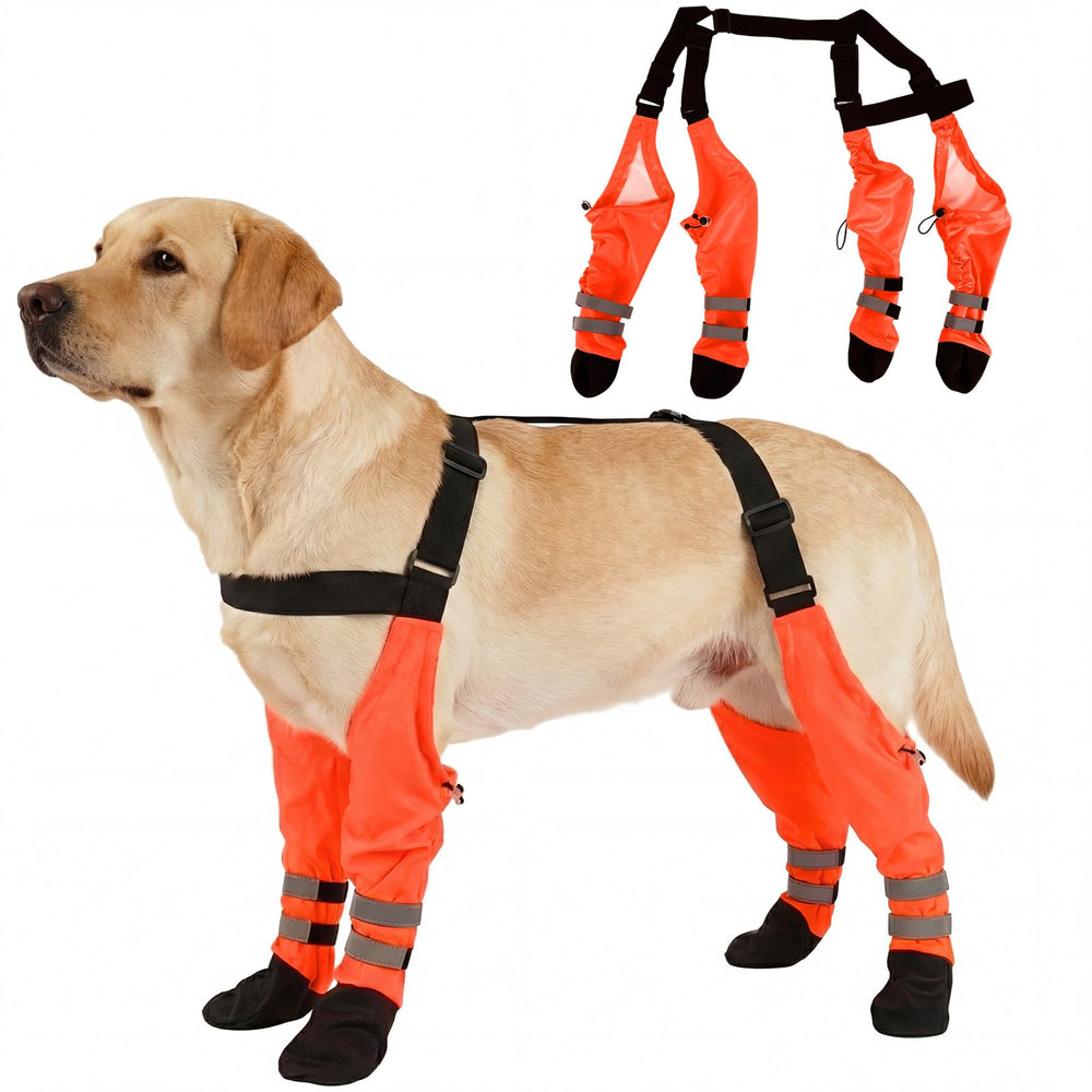 AuraPaw bottes pattes suspendues démontrant le maintien sûr lors des sorties.