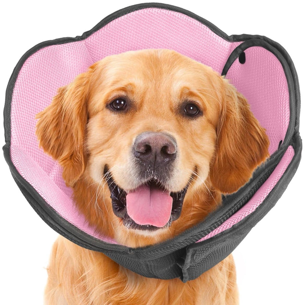 AuraPaw collier-cone après chirurgie, léger et confortable.