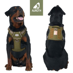 AUROTH harnais tactique avec réglages simples et quatre anneaux métalliques.