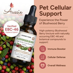 Pipette-doseuse Aussie Pure Pet Therapy Blushwood Berry, dosage précis pour les animaux.