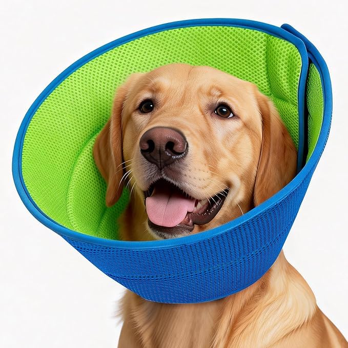 Autrous collier conique doux pour chien, protection post-chirurgie et repos plus paisible.