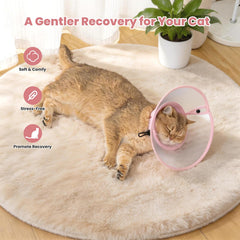 Avont cône protège la peau du chat et réduit les irritations.