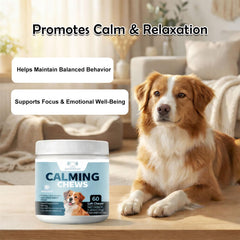 Bouchées moelleuses AVOAVOAVO pour chien – favorisent la détente quotidienne.