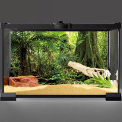 Arrière-plan forestier AWERT pour aquarium tropical, ajoutant profondeur et ambiance naturelle.
