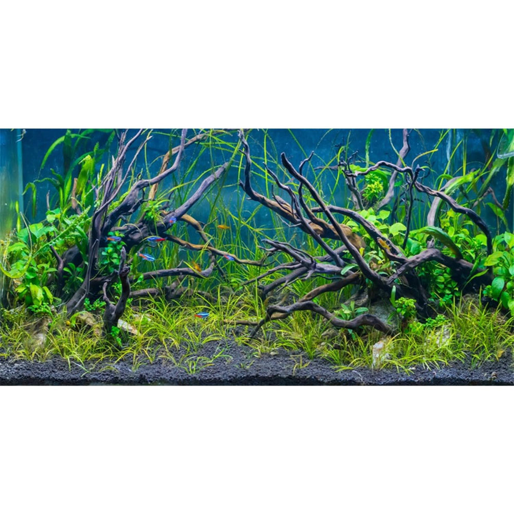 AWERT arrière-plan aquarium tropical rivière et sable, profond et réaliste