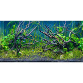 AWERT arrière-plan aquarium tropical rivière et sable, profond et réaliste