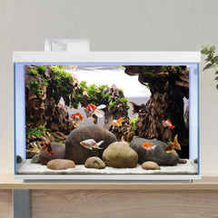 AWERT fond d'aquarium - couleur réaliste, profondeur visuelle accrue.