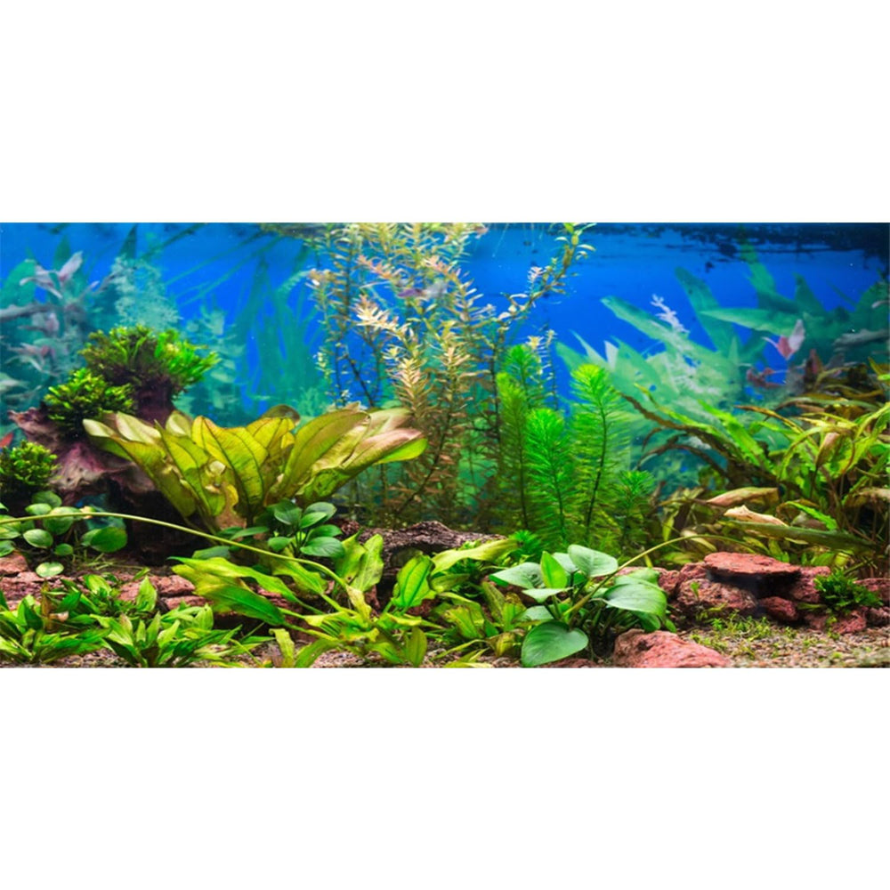 AWERT fond d'aquarium rivière paysage pour un décor réaliste et profond.