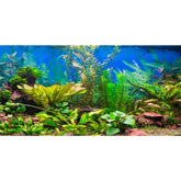 AWERT fond d'aquarium rivière paysage pour un décor réaliste et profond.