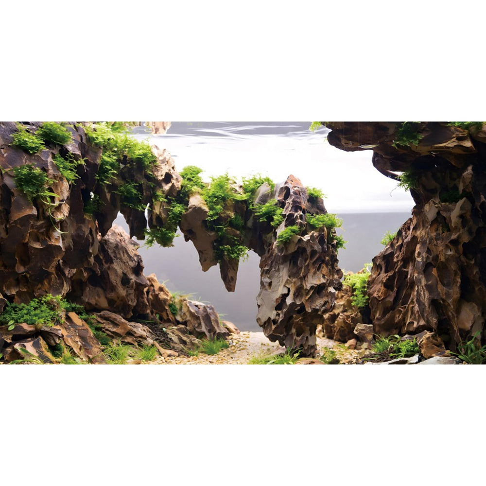 AWERT fond d'aquarium - roches et plantes, profondeur réaliste pour l'aquarium.