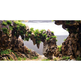 AWERT fond d'aquarium - roches et plantes, profondeur réaliste pour l'aquarium.