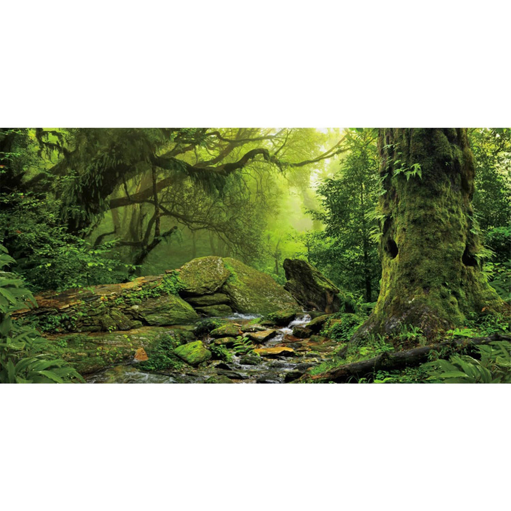 Fond AWERT terrarium forêt tropicale avec grand arbre, profondeur réaliste pour votre habitat