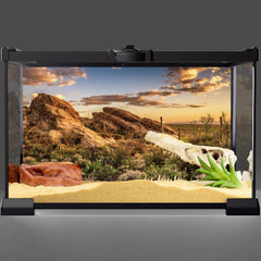 AWERT fond terrarium réptile bleu désert soleil: contraste vivant pour l'habitat.