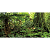 AWERT arrière-plan forêt terrarium avec grand arbre, profondeur et réalisme.