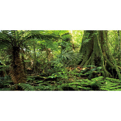 AWERT arrière-plan forêt terrarium avec grand arbre, profondeur et réalisme.