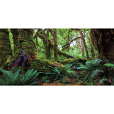 AWERT arrière-plan forêt tropicale pour aquarium, profondeur réaliste et ambiance naturelle.