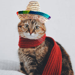 Chapeau sombrero AWOCAN pour animaux, léger et portable pour les fêtes
