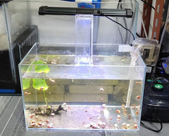 AWXZOM design paysager riche, s'adapte à divers décors d'aquarium.