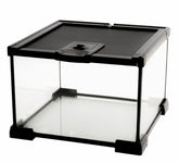 AWXZOM Mini Terarium en verre avec vision 360° pour observer les animaux clairement