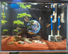 AWXZOM paysage aquatique avec sable rouge, sublime le design.