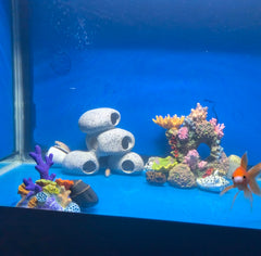 Refuge petit poisson Awxzom – abri sûr dans le bac.