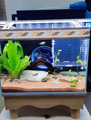 AWXZOM ventouses-attache-aquarium: fixation facile dans tout bac.