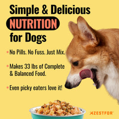 Azestfor bouteille poudre nutrition chien : format prêt à l’emploi pour les repas.