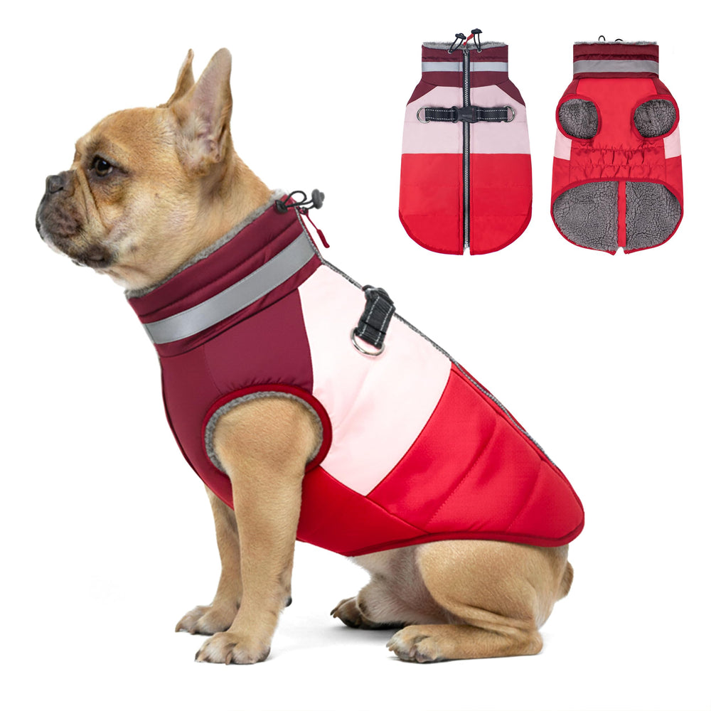 Veste Azuza pour chien: fermeture sur le dos, facile à enfiler