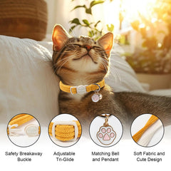 Boucle et clochette Babole Pet, collier corduroy pour identification légère.