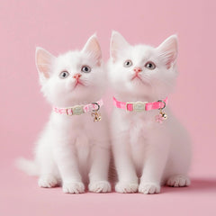 Babole Pet collier chat avec boucle sécurité libérable pour éviter l'étranglement.