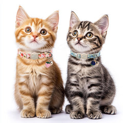 Babole Pet collier chat avec cloche et pendentif amovibles, ajout de charme sécurisé