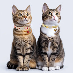Babole Pet collier chat dessin animé coccinelle — style coloré et clochette pour repérer votre chat.