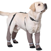 Bottes BabyFoxy imperméables pour chien, protection lors des sorties pluvieuses.