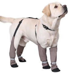 Bottes BabyFoxy imperméables pour chien, protection lors des sorties pluvieuses.