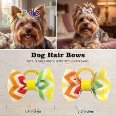 Babymatch noeud-chien-petit bleu, style frais lors des sorties.